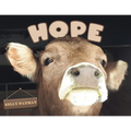 Hope