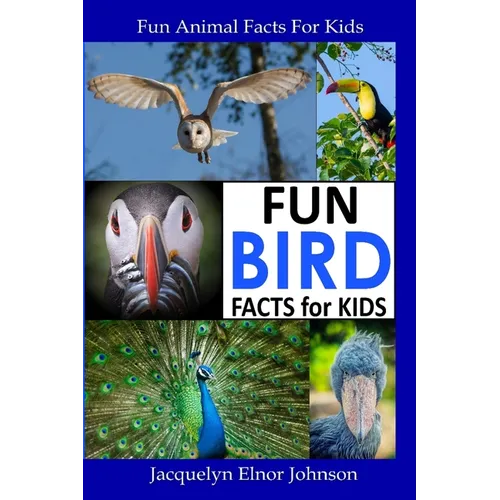 Fun Bird Facts for Kids