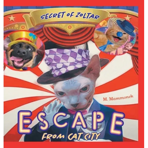 Escape from Cat City 2: Secret of Zoltar
