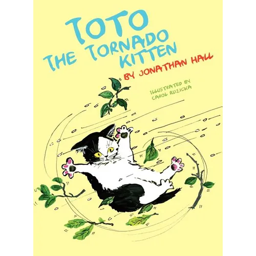 Toto the Tornado Kitten