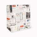 Gift Bag - Large - Christmas Chronicle