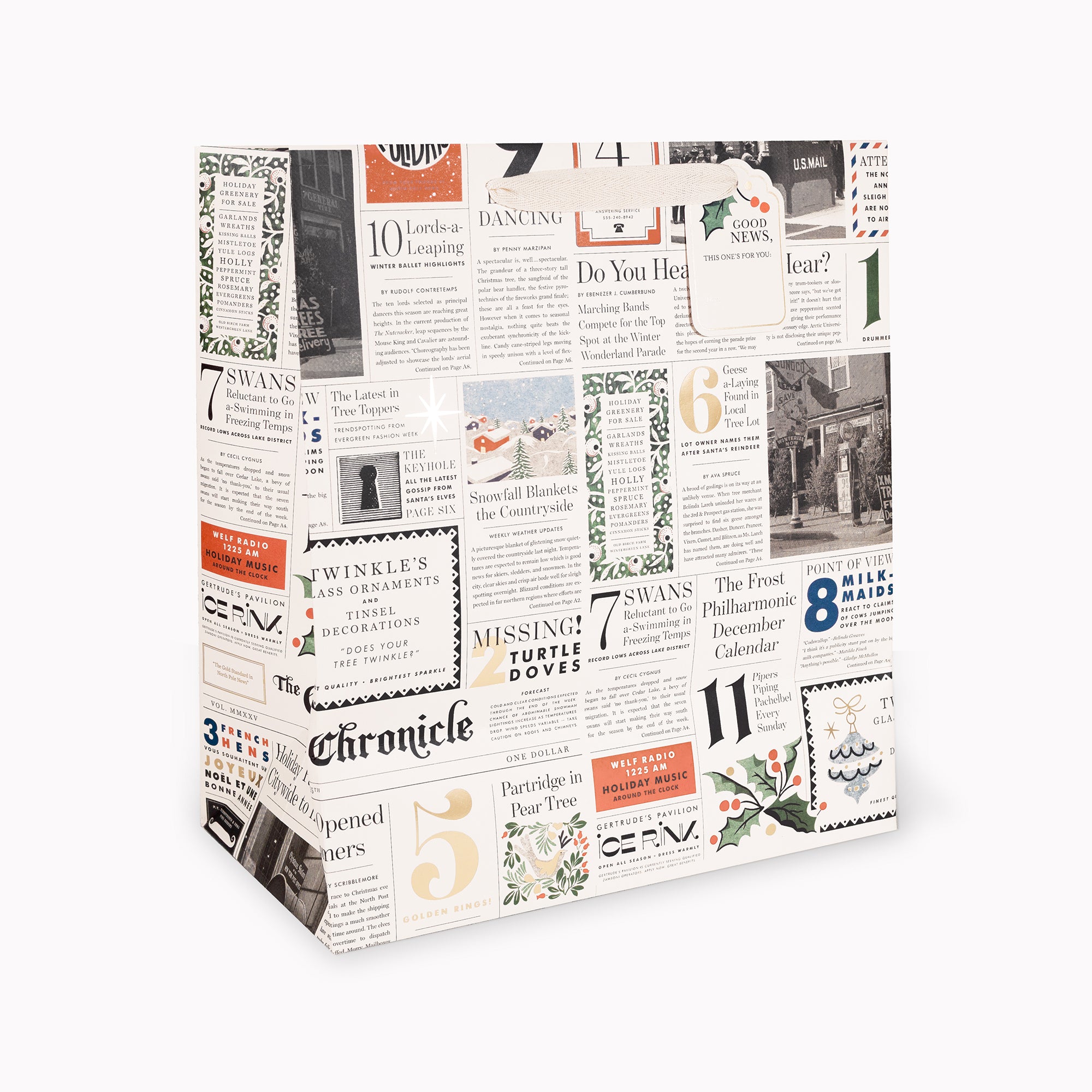 Gift Bag - Large - Christmas Chronicle
