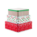 Square Cookie Tins (Set of 3), Snowflake