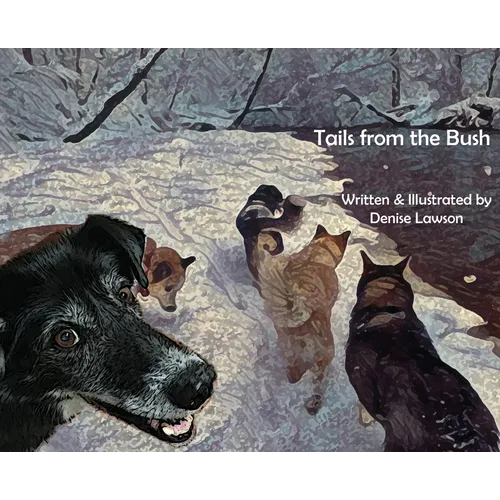 Tails from the Bush: Another Black Bear Sled Dog Adventure