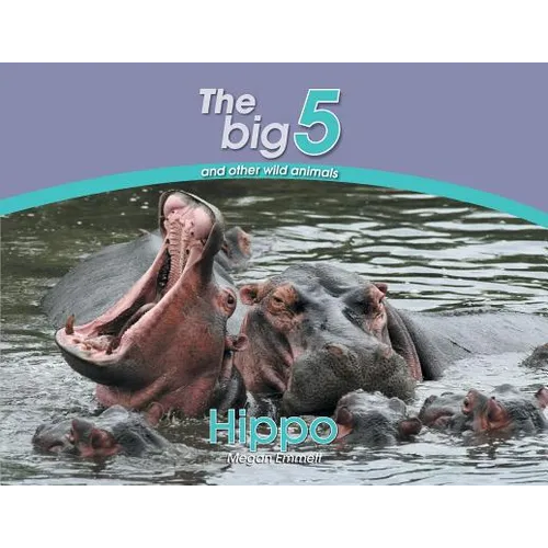 Hippo: The Big 5 and other wild animals