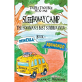 Sleepaway Camp-The Hoffman's Best Summer Ever!: Triple Trouble Plus One: Book 3