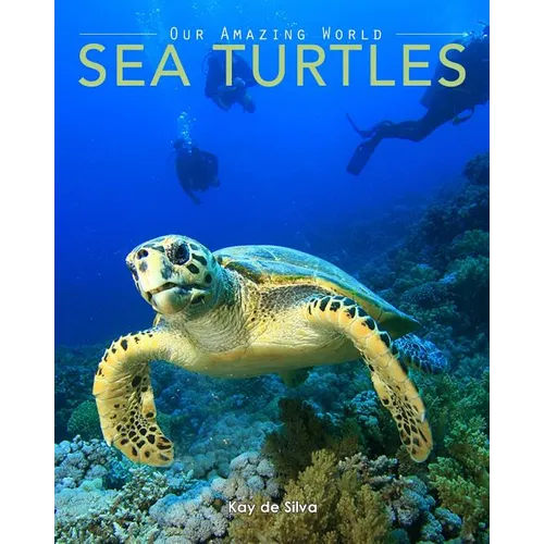 Sea Turtles: Amazing Pictures & Fun Facts on Animals in Nature