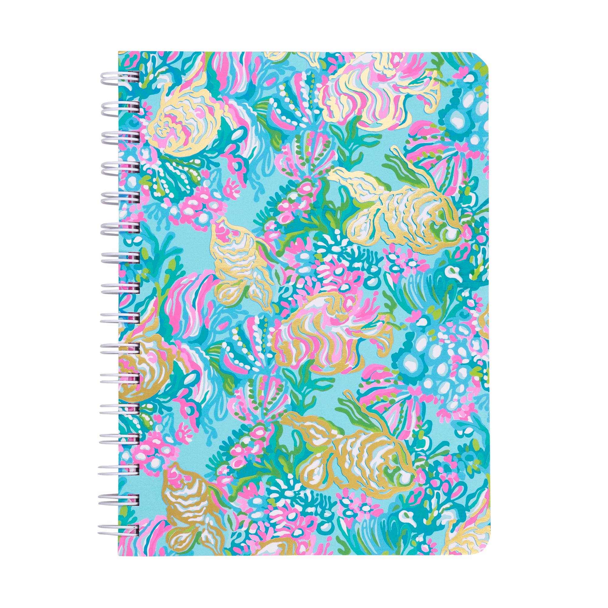 Mini Notebook, Aqua La Vista
