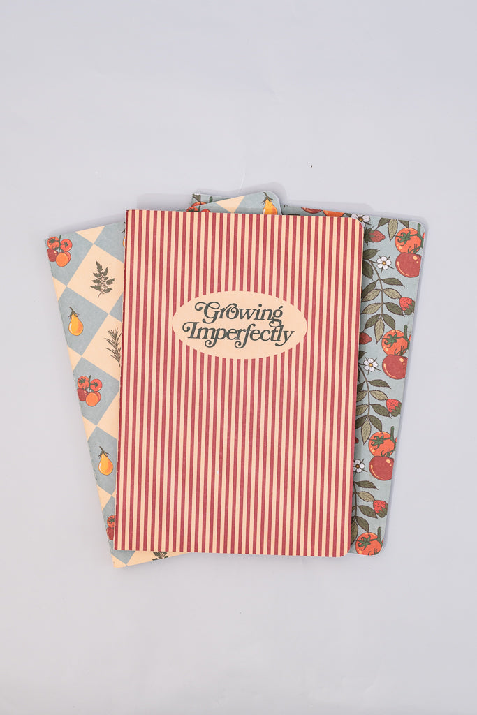 Rough Draft Notebook Set, Growing Imperfectly