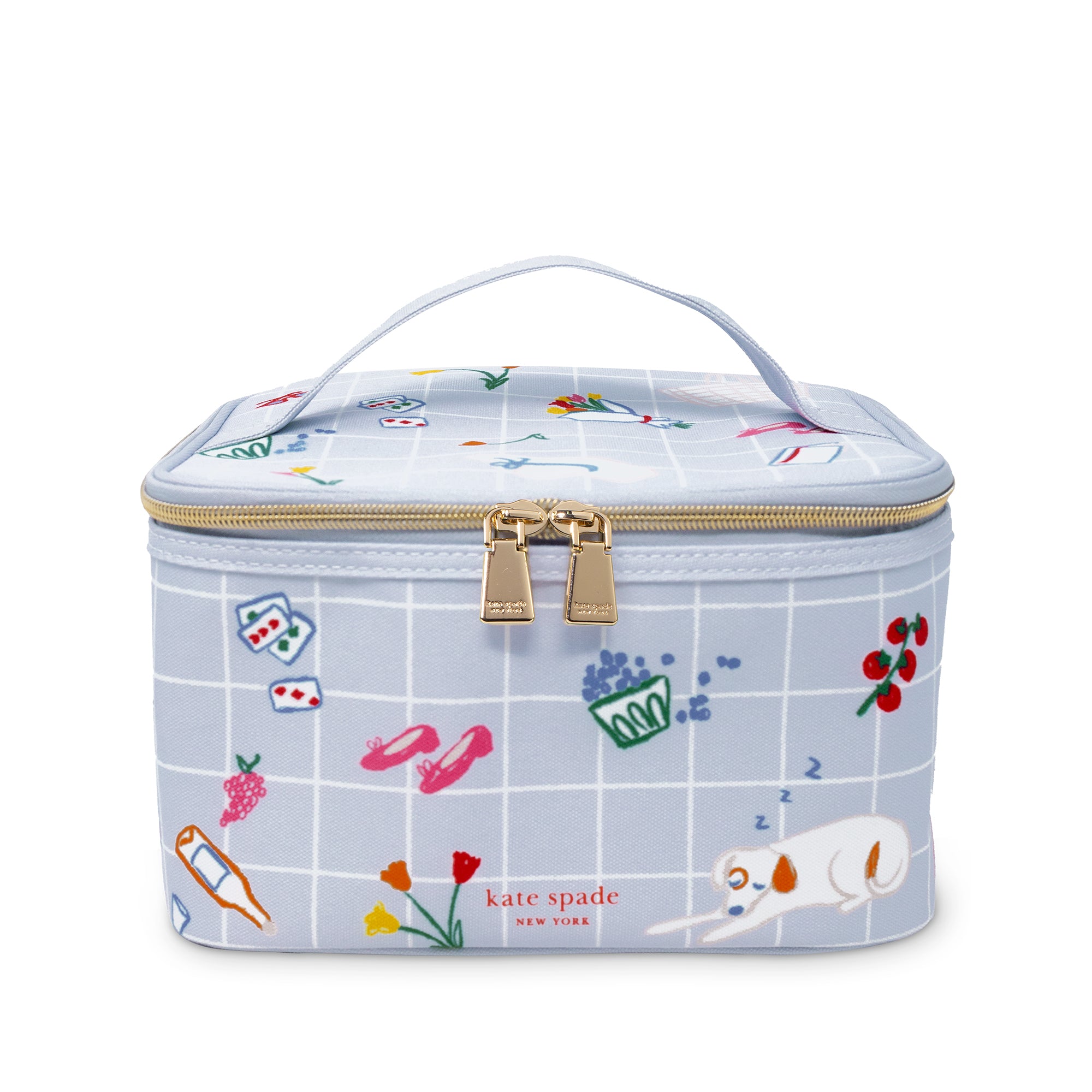 Lunch Box, Park Picnic