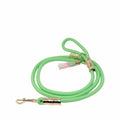 Pet Leash, Crazy Quilt Home