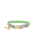 Dog Collar, Crazy Quilt Home (M/L)
