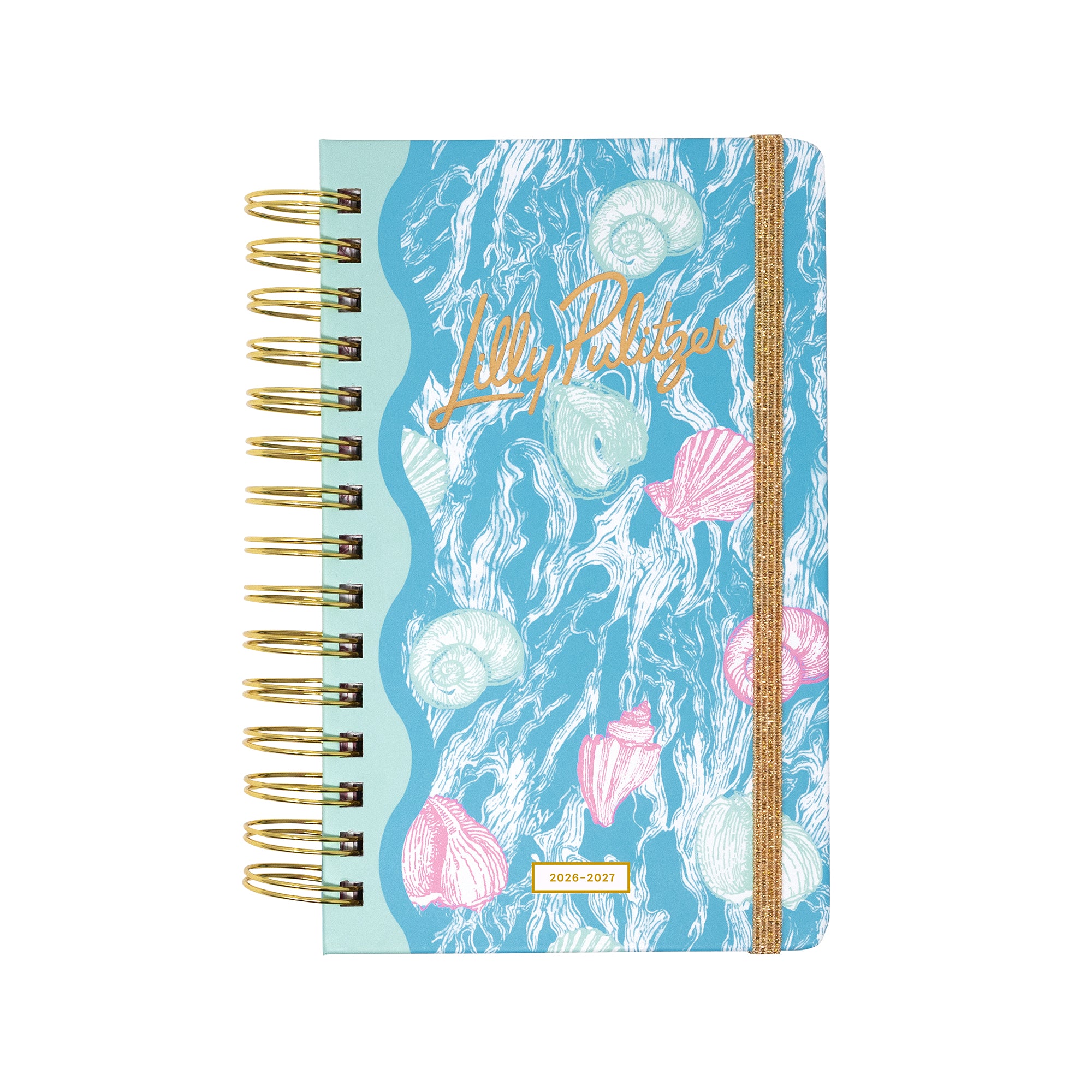 Medium 17 Month Agenda, Shelden