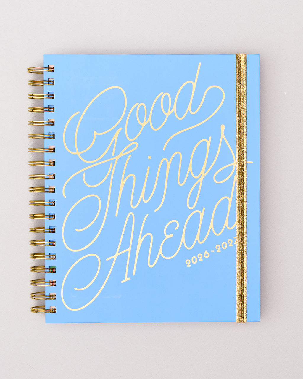 17 Month Large Planner, Good Things Ahead - Blue