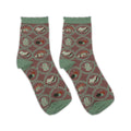 Cozy Socks, Books