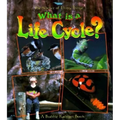 What Is a Life Cycle?