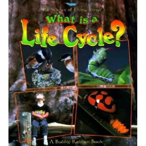 What Is a Life Cycle?