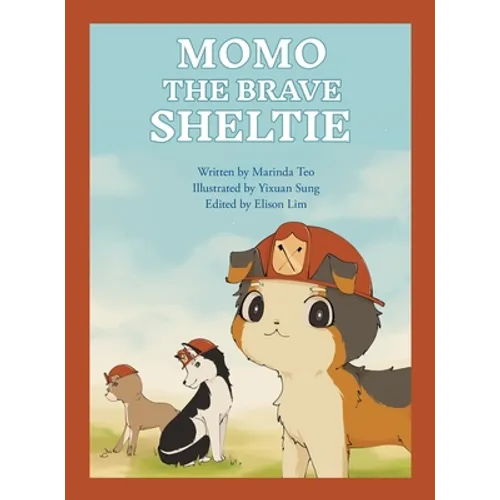 Momo the Brave Sheltie