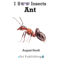 Ant