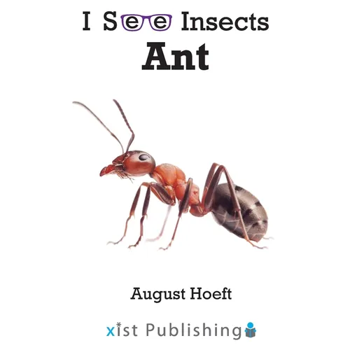 Ant