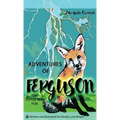 Adventures of Ferguson, the Little Red Fox: Lake Butte Overlook