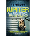 Jupiter Winds