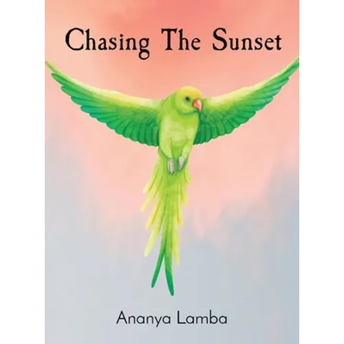 Chasing The Sunset