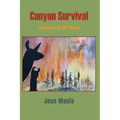 Canyon Survival: Escape Out of the Flames