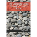 The Complete Guide Caring for Your Pet Rock