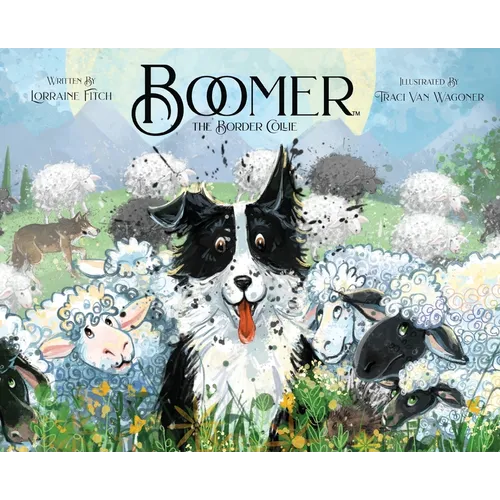Boomer the Border Collie