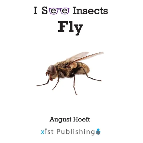 Fly