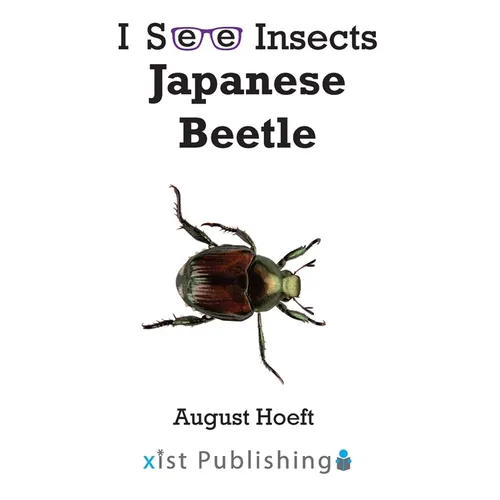 Japanese Beetle