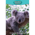 Koalas