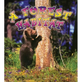 A Forest Habitat