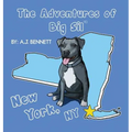 The Adventures of Big Sil New York, NY: Children's Book