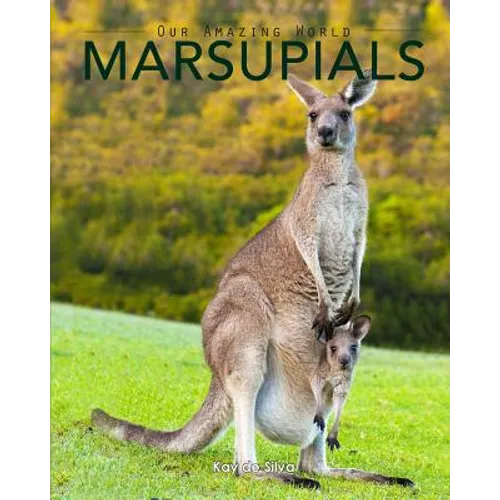 Marsupials: Amazing Pictures & Fun Facts of Animals in Nature