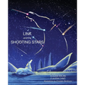 Link and the Shooting Stars