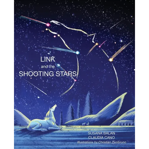Link and the Shooting Stars