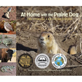 At Home with the Prairie Dog: The Story of a Keystone Species