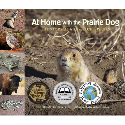 At Home with the Prairie Dog: The Story of a Keystone Species