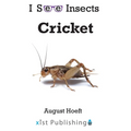 Cricket