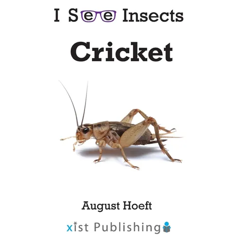 Cricket