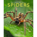 Spiders: Amazing Pictures & Fun Facts on Animals in Nature