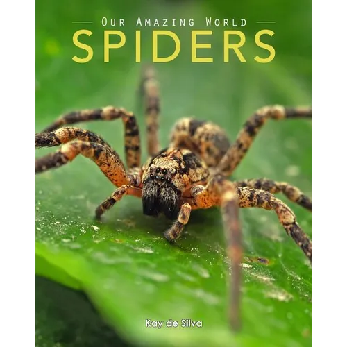 Spiders: Amazing Pictures & Fun Facts on Animals in Nature