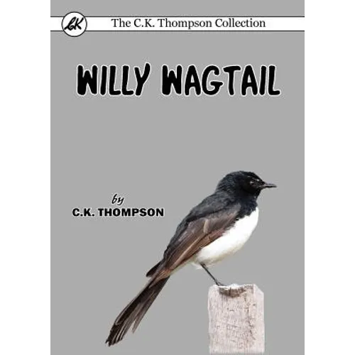 Willy Wagtail