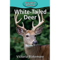 White-Tailed Deer