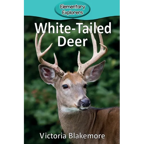 White-Tailed Deer
