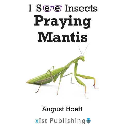 Praying Mantis