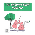 The Respiratory System