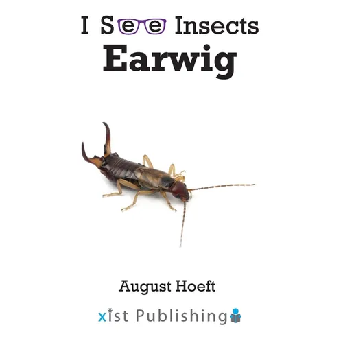 Earwig